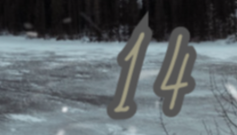 Case 14 :❄️ Rêverie hivernale