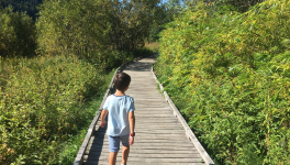 Cache-cache directeur