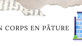 Hôpital Debrousses, Lyon, 1997