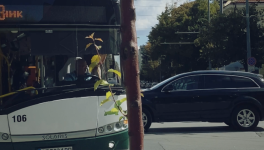 Abstract - Crazy Traffic, Stara Zagora, Bulgaria