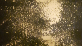 La bataille pour la paix -