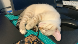 Pourquoi je n’accepte pas toutes les demandes de connexion