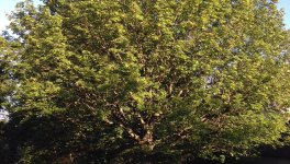 Entrer en poésie...