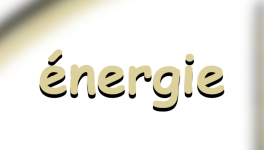 une chose était certaine