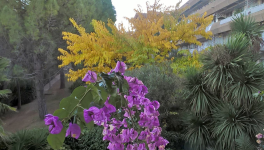 Le bouton du réveil