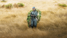 Onoda, 10 000 nuits dans la jungle (Arthur Harari, 2021)