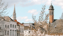 2-Les premières années (1514-1531)