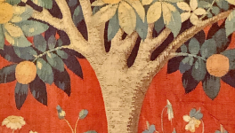 Le pommier de misère