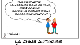 Reprise de la natalité en Chine