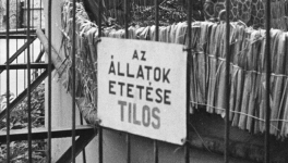 Az utolsó