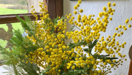 Votre bouquet de ce dimanche 