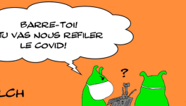 curiosity et les petits hommes verts de mars