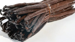 La biophysique de la vanille : pourquoi le froid polaire et l'alcool détruisent le parfum de l'épice la plus précieuse au monde