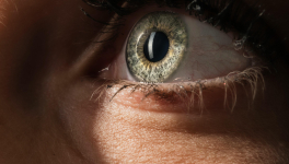 Conversation sur allier passion et lucidité.