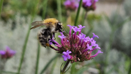 Chapitre 7 : La photo, ce n’est pas un peu cliché… ?