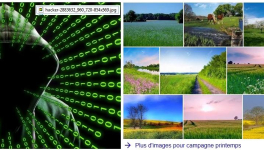 être parano face aux capacités d’intrusions de l’informatique et des hackers