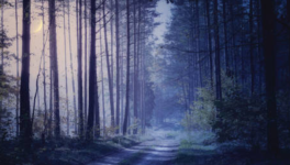 A la cueillette du bonheur 1/3