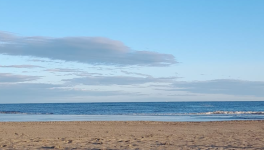 Blabla d'enfer ! : Chapitre 5 En confiance