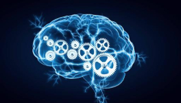 Qu'est-ce qui bouge le cul des andalouses, c'est l'humour...