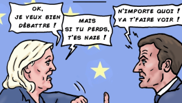 Elections européennes :                                    le deal Macron - Marine Le Pen