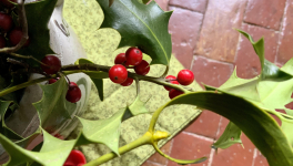 Votre calendrier de l'Avent - 17 Décembre 