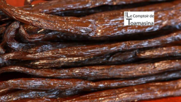 Le Mystère Révélé : Comment la Congélation Interrompt la Métamorphose des Saveurs de la Vanille  