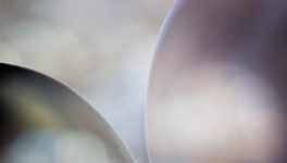 « Balivernes », a dit Balivernes