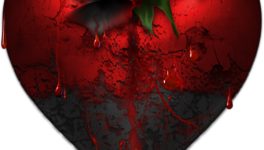 C'est quoi l'Amour - 1