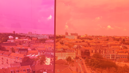 Literature and Money