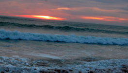 Baudelaire champion de surf