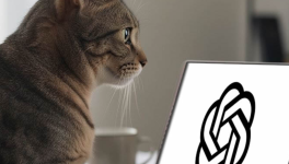 Le chat de 2026
