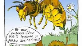 Partie 2 : La remise en question - Chap. 5 : Les espèces invasives