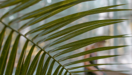 Qui se cache derrière Raphaëlle ? Qui est-elle ?