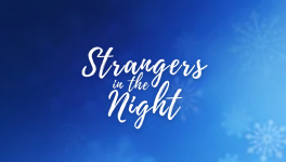 Strangers in the Night - Chapitre 5