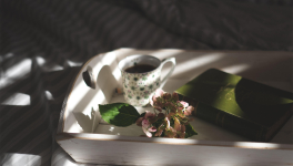 Black Butler de Yana Toboso