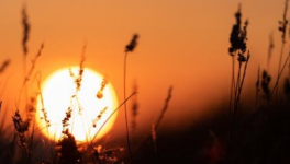 #1. L'univers de « L'Emballement ».