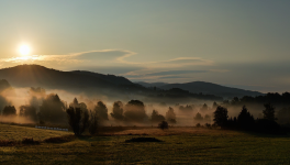 MATINÉES DE L’ÊTRE