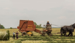 La transition sociétale préalable à la transition écologique