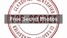 THE WORST CRIME (GUESS !) - 14