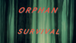 Chapitre 5 - Voleuse