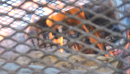 Bon réveillon & Joyeux Noël !