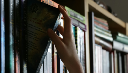 Pallas : dans le ventre de Troie de Marine Carteron