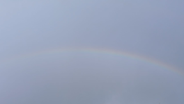 Les Ailes du Silence