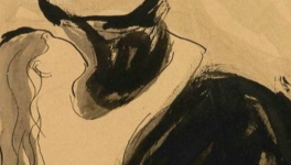 Chat Noir