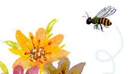 LE ANITE - PROFUMO DI MIELE &amp; PROPOLI