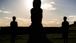 Pourquoi comment comment pourquoi ?