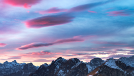 Conversation sur les grandes causes avec Emmanuel Portanery