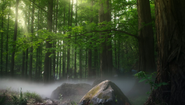 Chapitre 1 Coup de flair