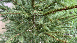 Votre calendrier de l'Avent - 9 Décembre 