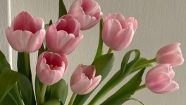 𝙌𝙪'𝙖𝙩𝙩𝙚𝙣𝙙𝙚𝙯-𝙫𝙤𝙪𝙨? 𝙏𝙚𝙣𝙩𝙚𝙯!